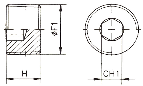 TN 192 NPT poza tehnica