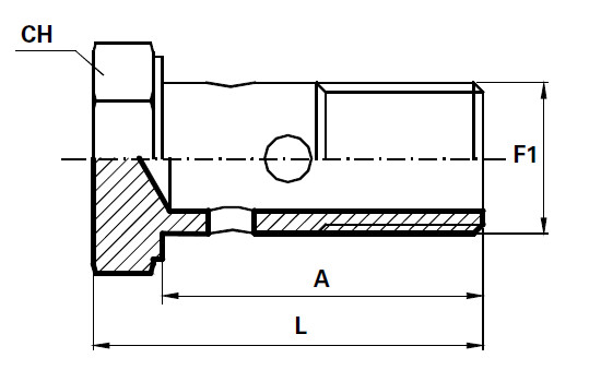 Holender simplu poza tehnica